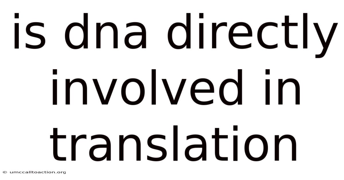Is Dna Directly Involved In Translation