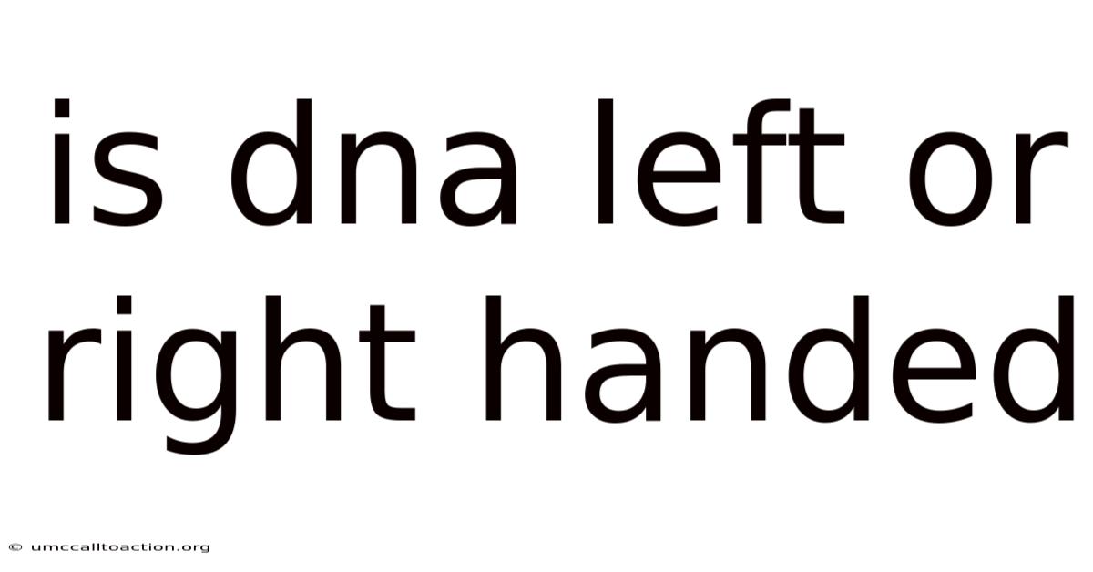 Is Dna Left Or Right Handed
