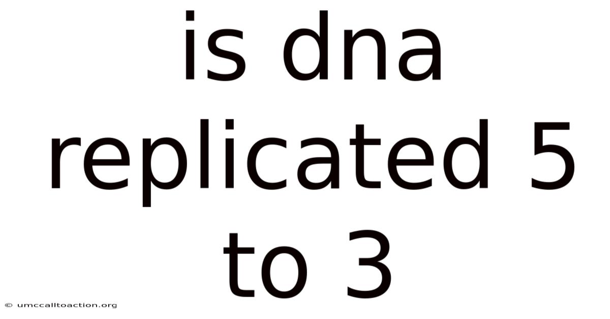Is Dna Replicated 5 To 3