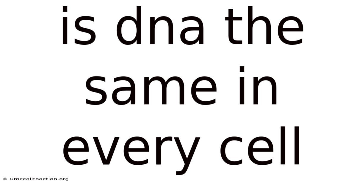 Is Dna The Same In Every Cell