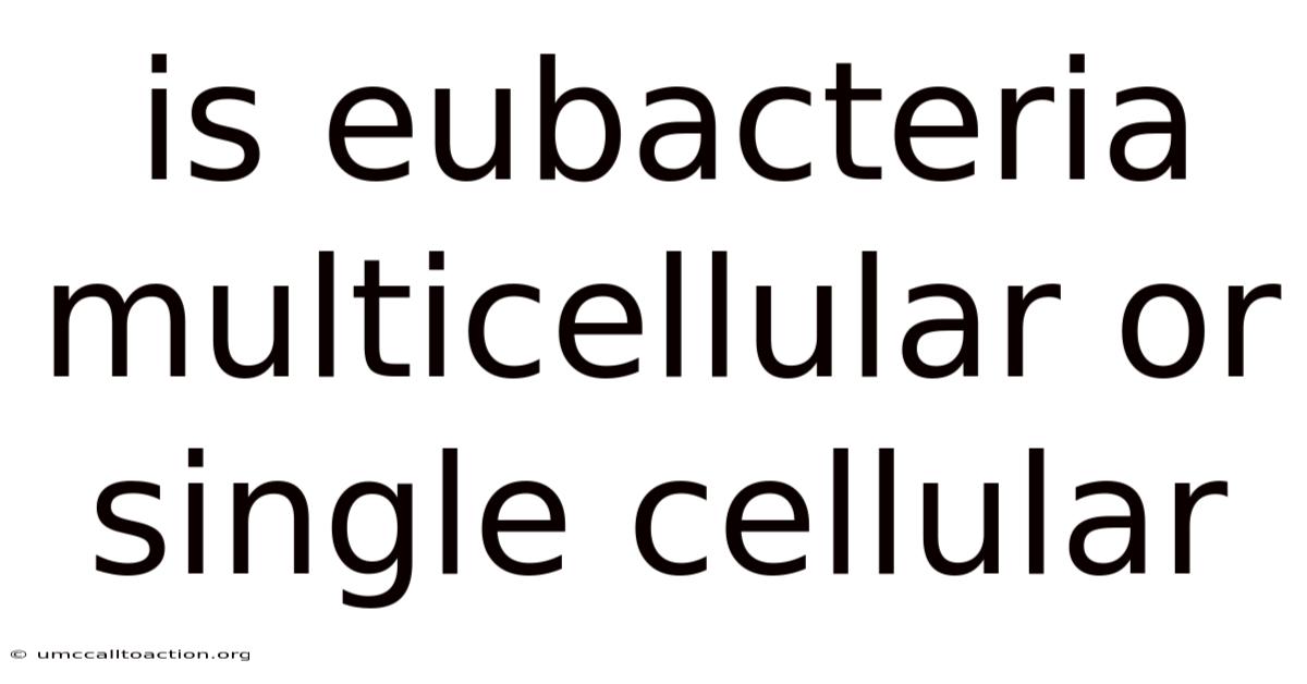 Is Eubacteria Multicellular Or Single Cellular