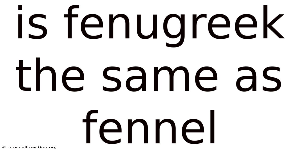 Is Fenugreek The Same As Fennel
