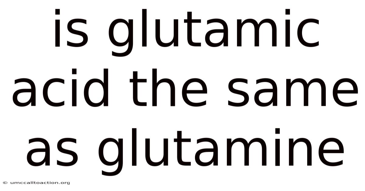 Is Glutamic Acid The Same As Glutamine