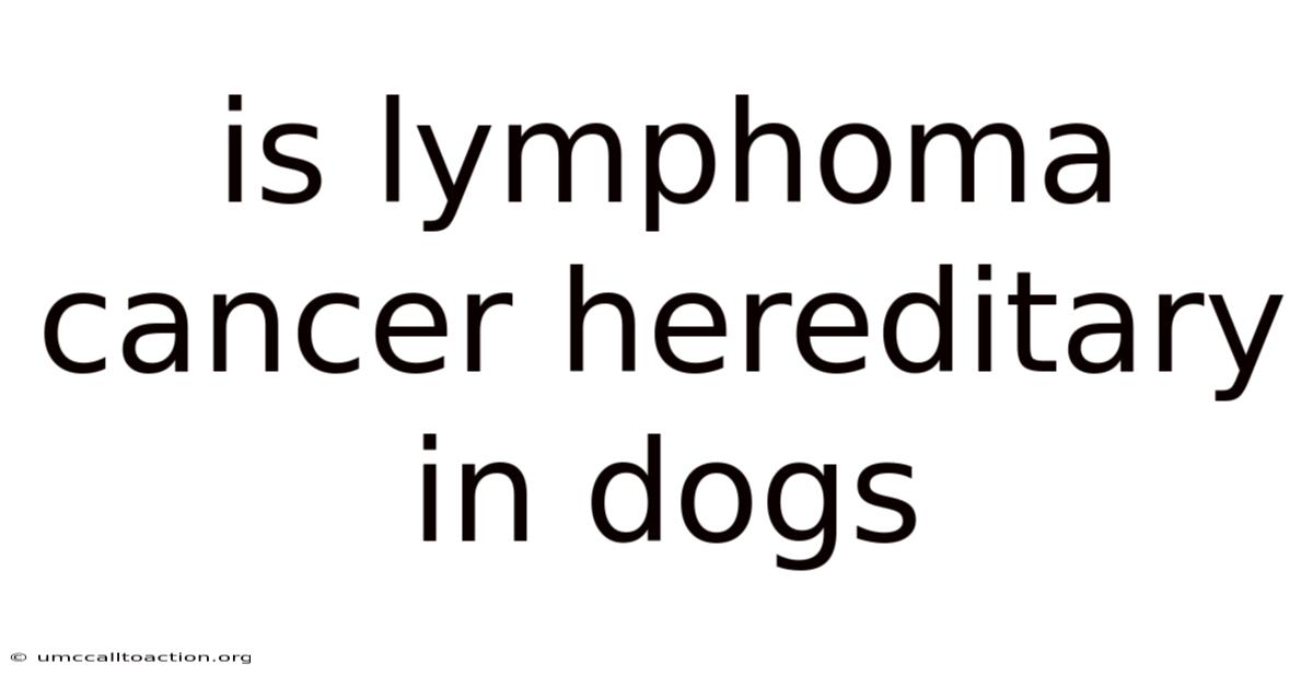 Is Lymphoma Cancer Hereditary In Dogs