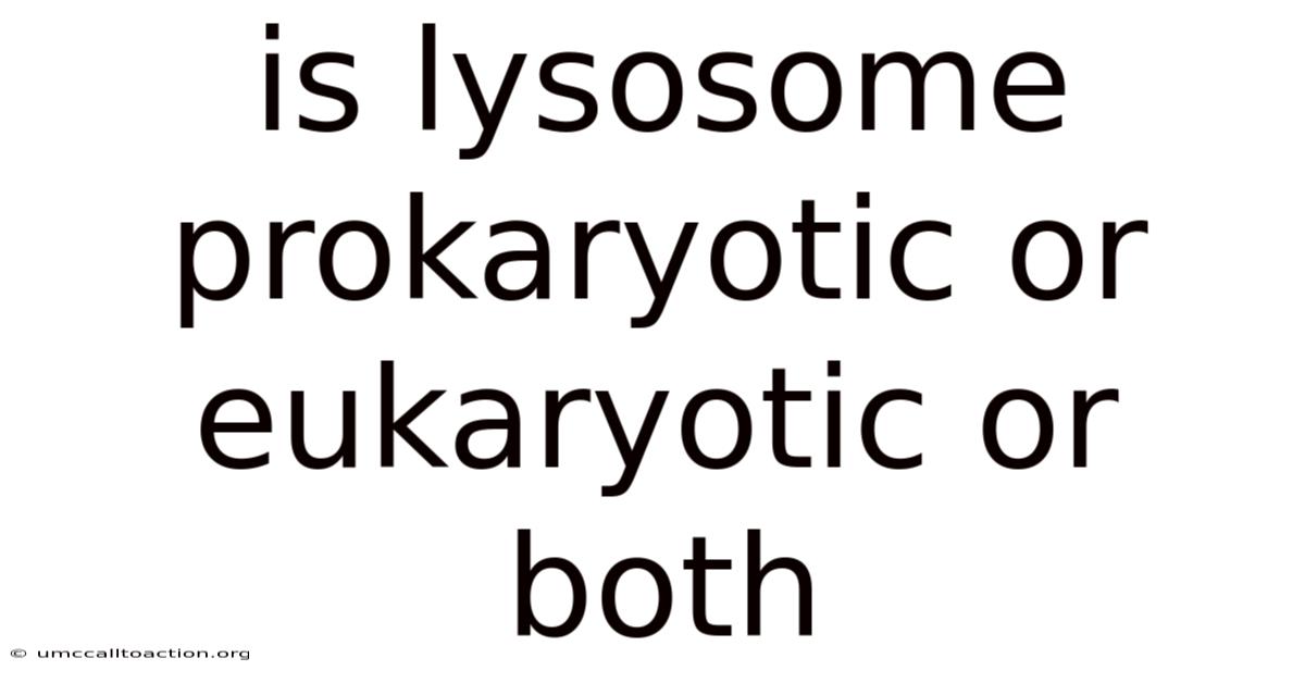 Is Lysosome Prokaryotic Or Eukaryotic Or Both