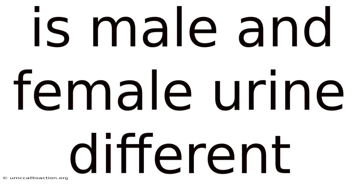 Is Male And Female Urine Different