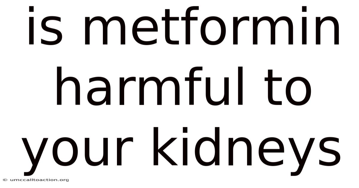 Is Metformin Harmful To Your Kidneys