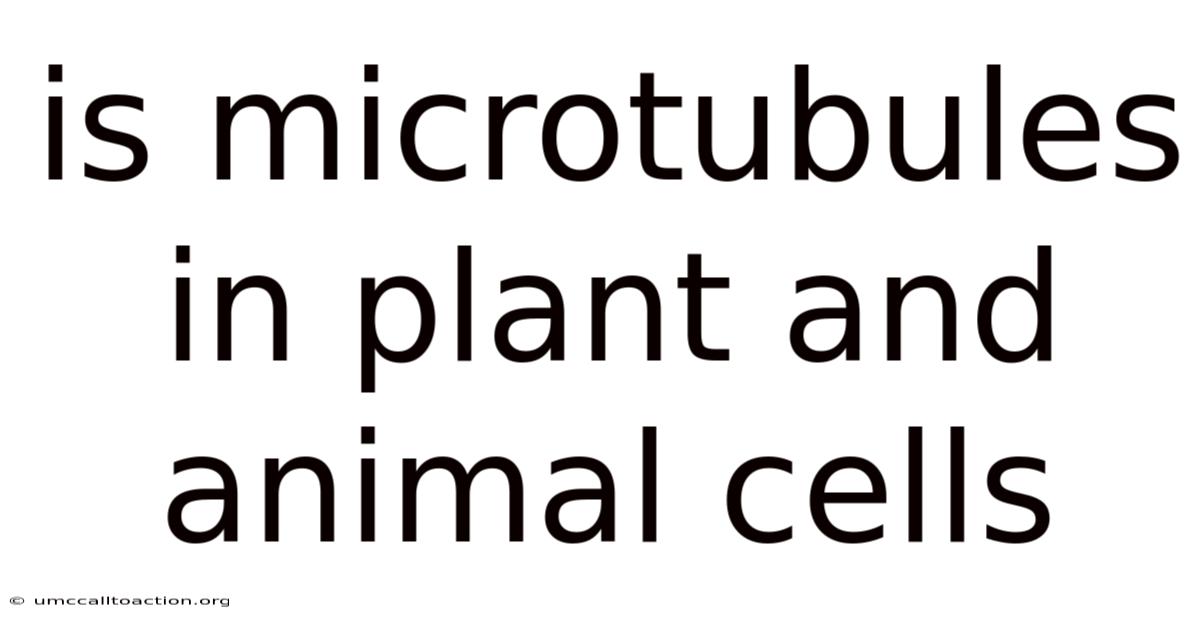 Is Microtubules In Plant And Animal Cells