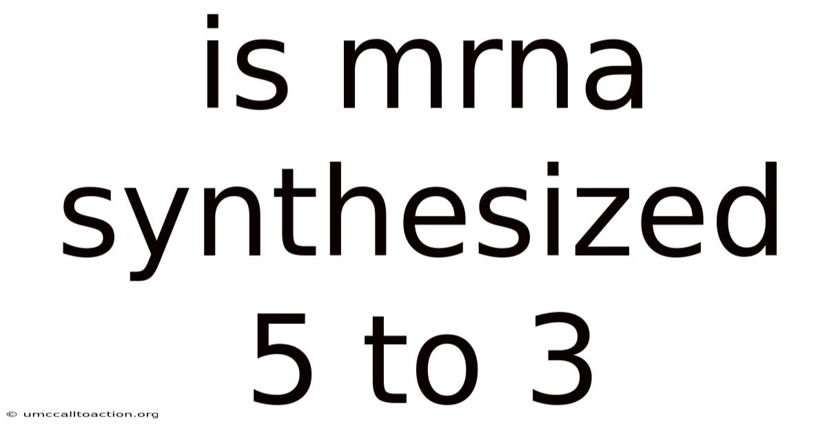 Is Mrna Synthesized 5 To 3
