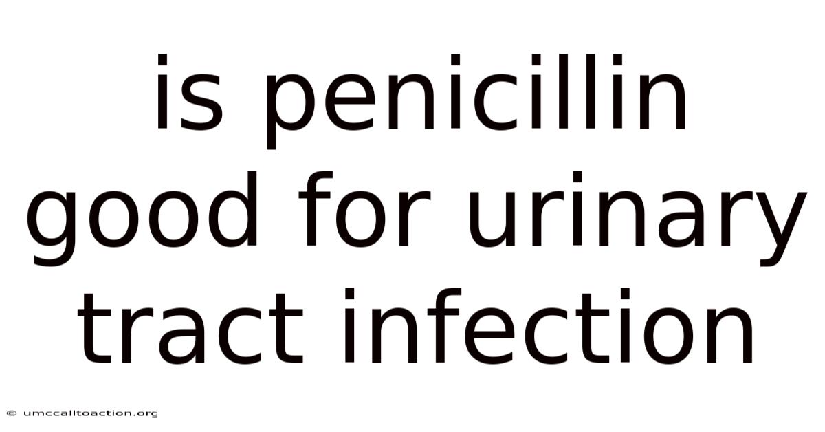 Is Penicillin Good For Urinary Tract Infection