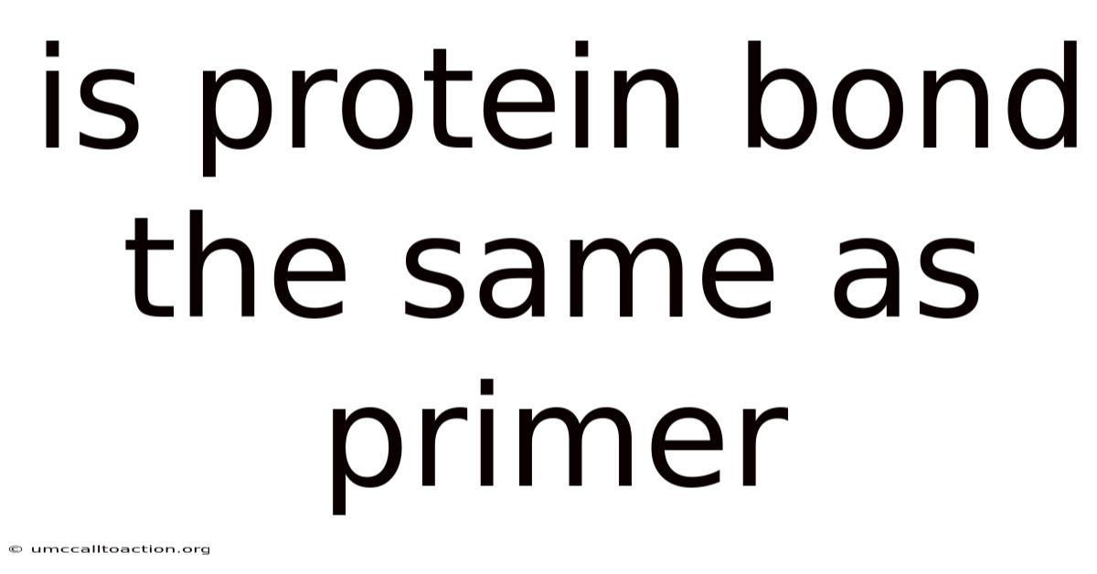 Is Protein Bond The Same As Primer