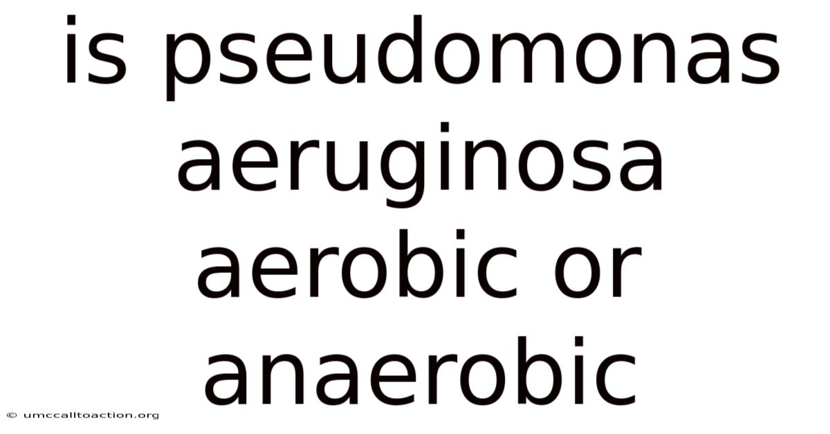 Is Pseudomonas Aeruginosa Aerobic Or Anaerobic