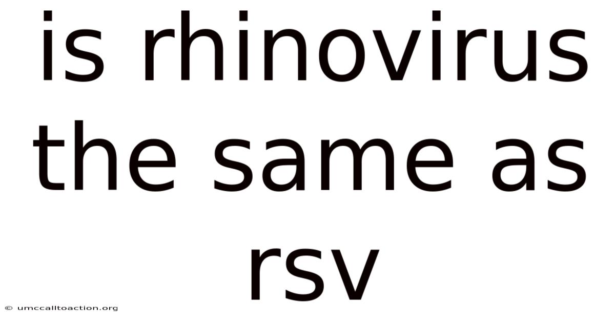 Is Rhinovirus The Same As Rsv