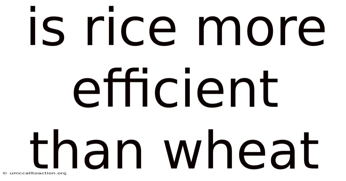 Is Rice More Efficient Than Wheat