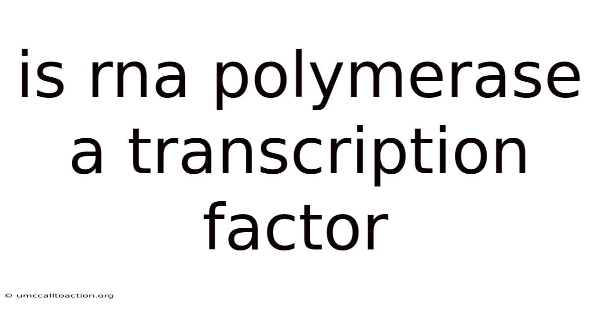 Is Rna Polymerase A Transcription Factor
