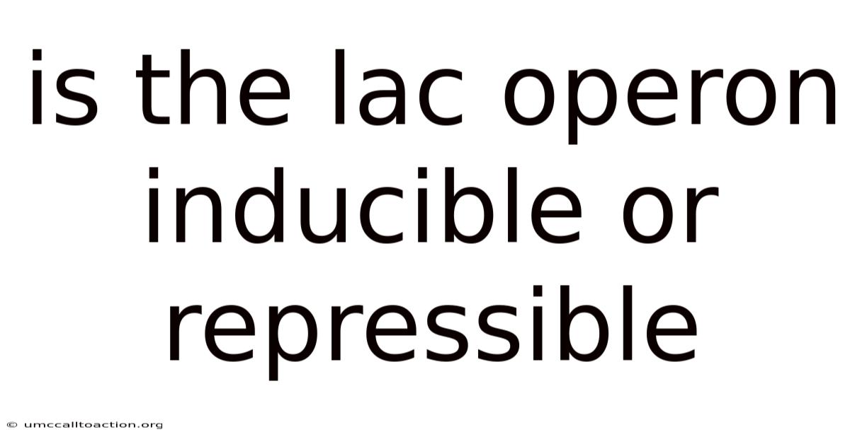 Is The Lac Operon Inducible Or Repressible