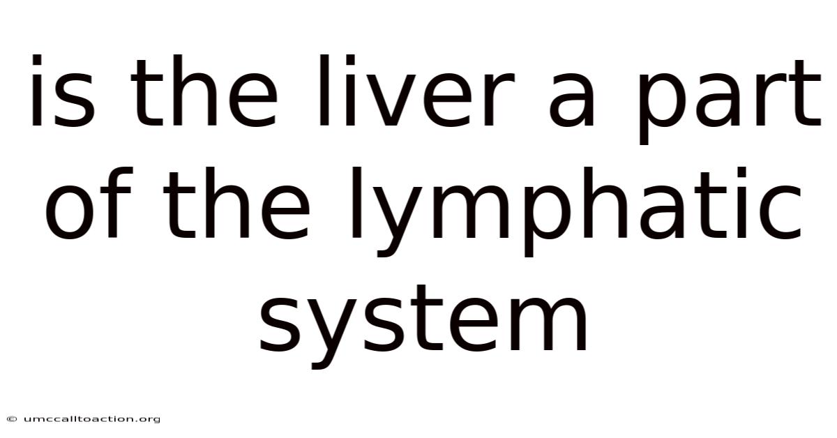 Is The Liver A Part Of The Lymphatic System
