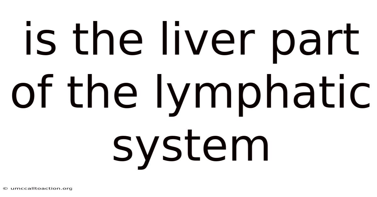 Is The Liver Part Of The Lymphatic System