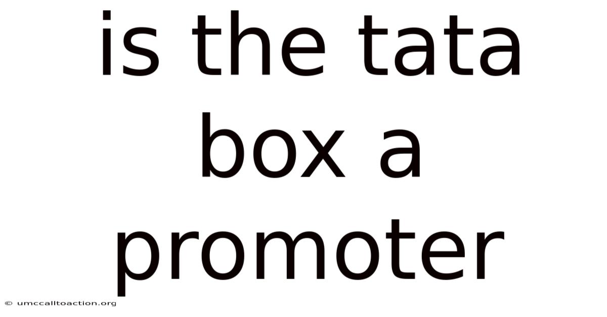 Is The Tata Box A Promoter