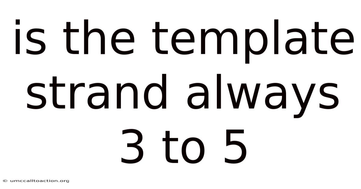 Is The Template Strand Always 3 To 5