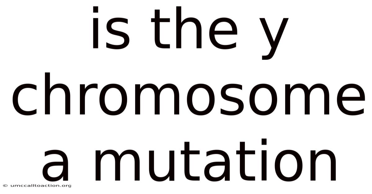 Is The Y Chromosome A Mutation