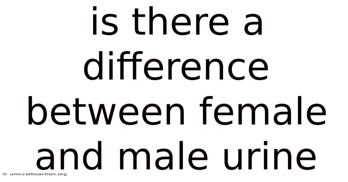 Is There A Difference Between Female And Male Urine