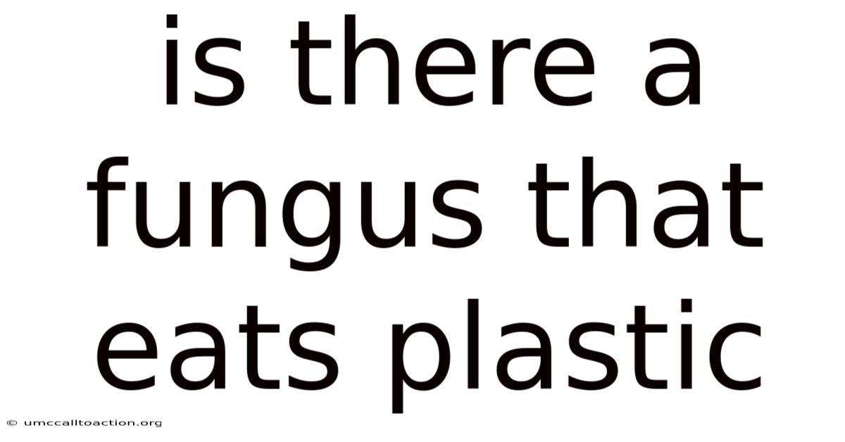 Is There A Fungus That Eats Plastic
