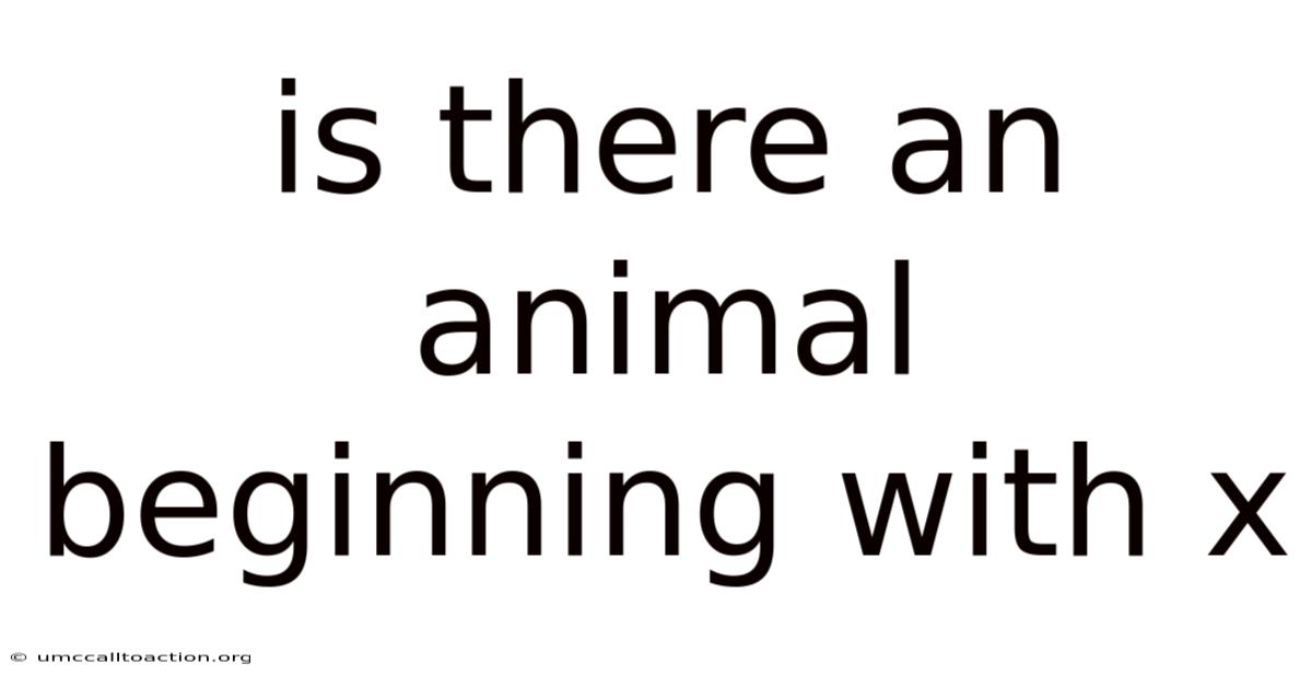 Is There An Animal Beginning With X
