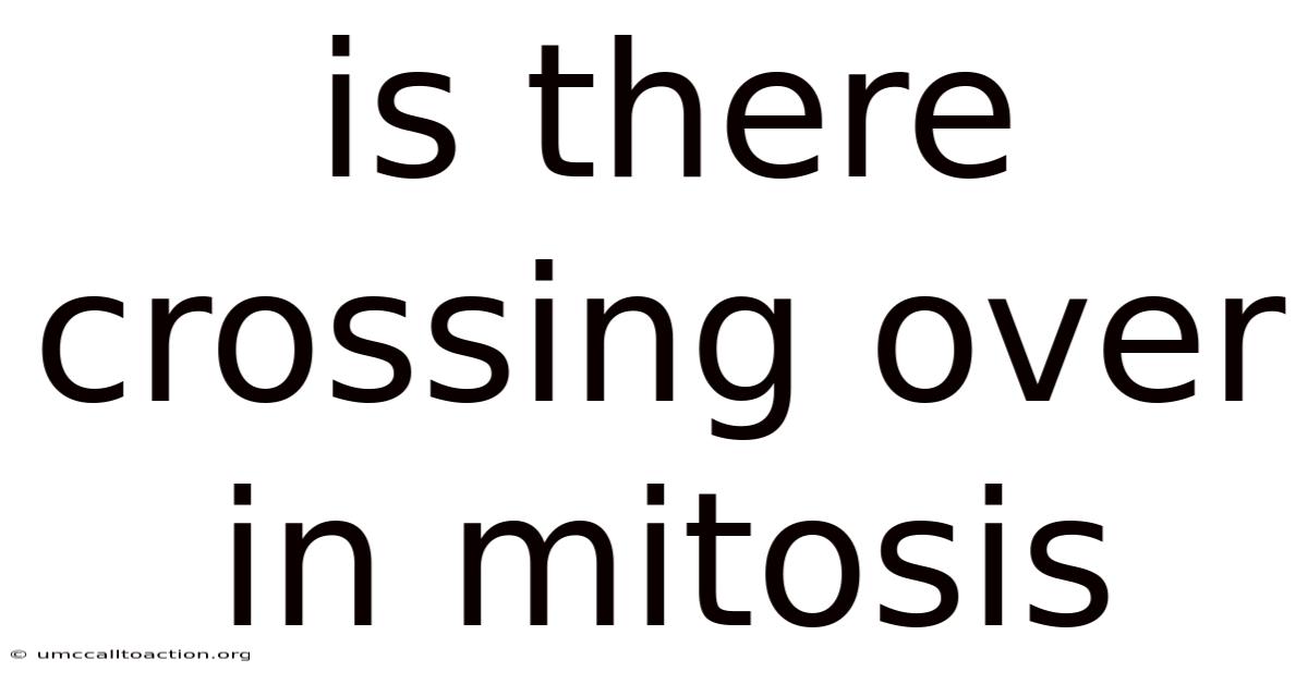 Is There Crossing Over In Mitosis