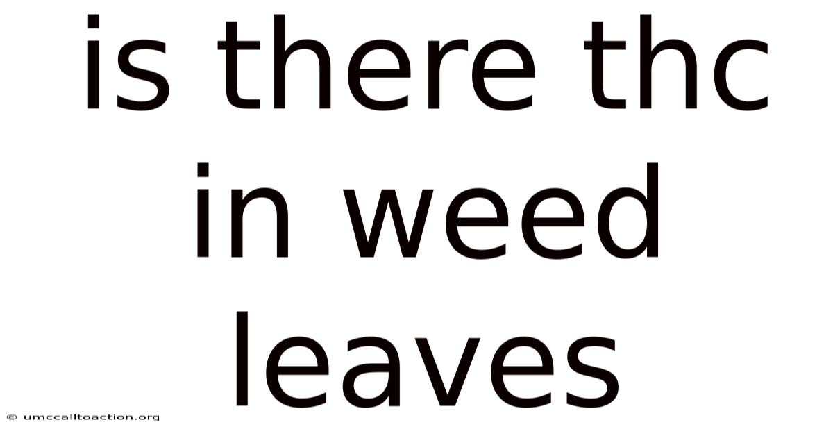 Is There Thc In Weed Leaves