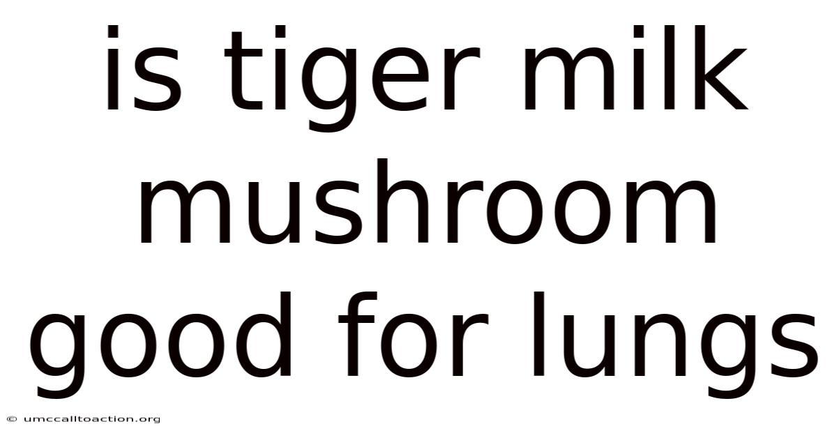 Is Tiger Milk Mushroom Good For Lungs
