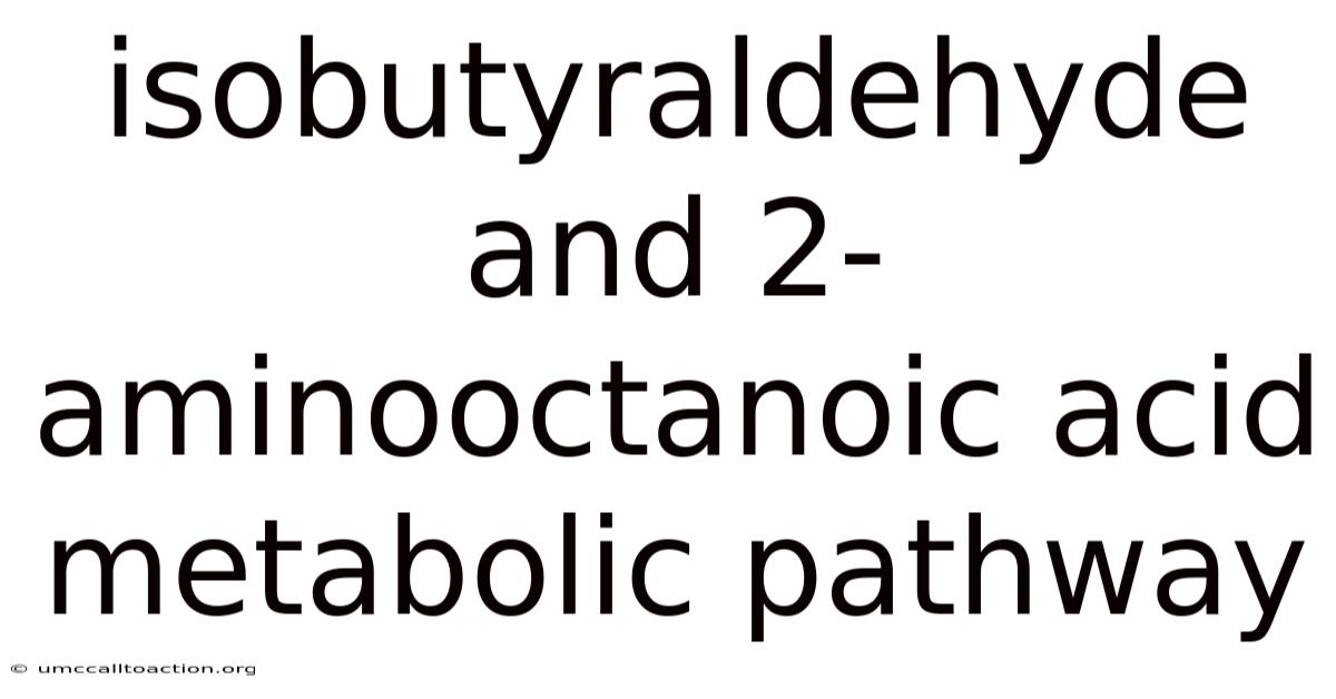 Isobutyraldehyde And 2-aminooctanoic Acid Metabolic Pathway