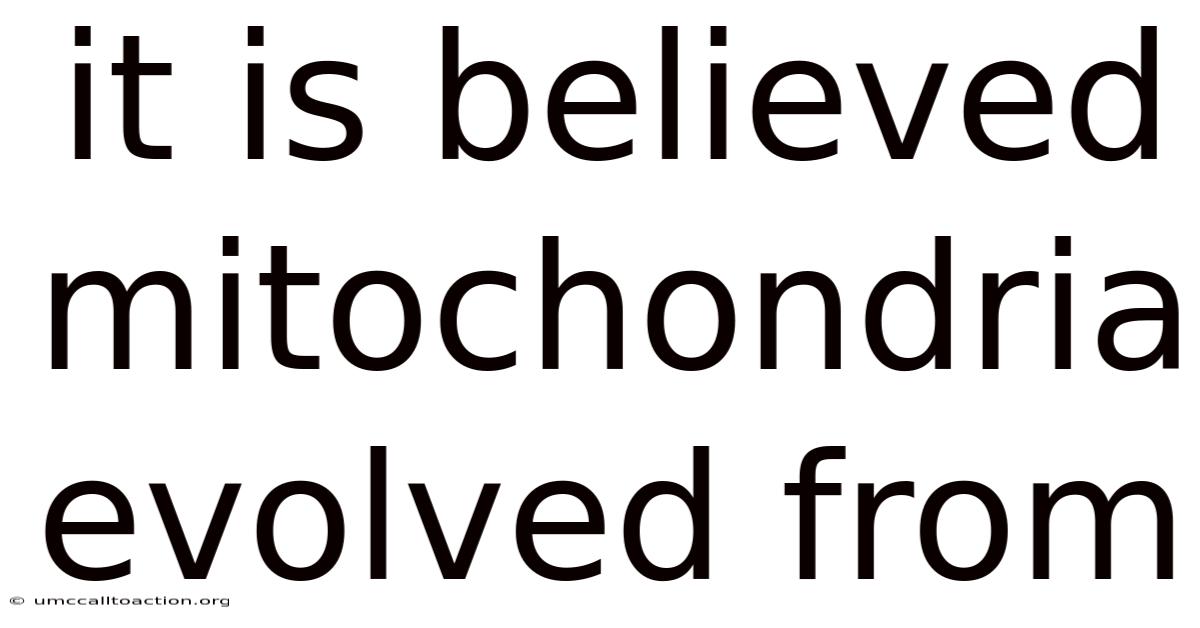 It Is Believed Mitochondria Evolved From