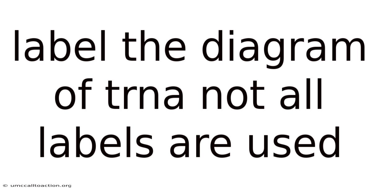 Label The Diagram Of Trna Not All Labels Are Used