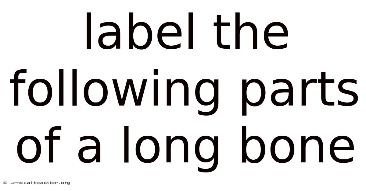 Label The Following Parts Of A Long Bone