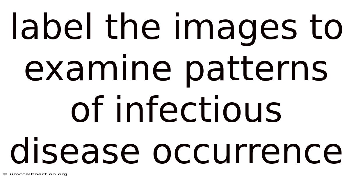 Label The Images To Examine Patterns Of Infectious Disease Occurrence