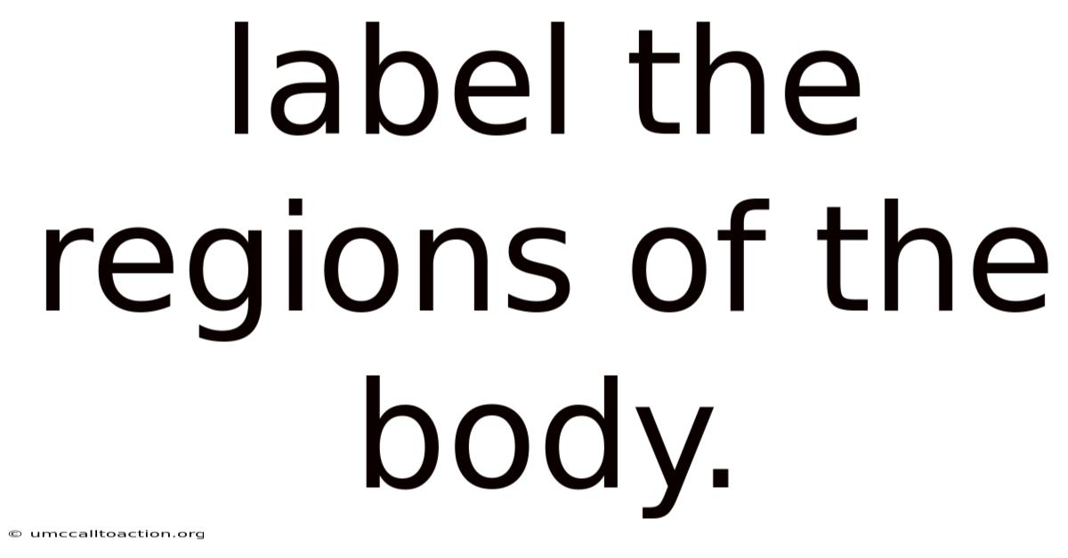 Label The Regions Of The Body.
