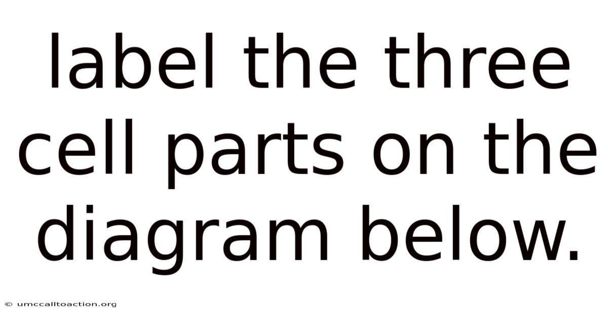 Label The Three Cell Parts On The Diagram Below.