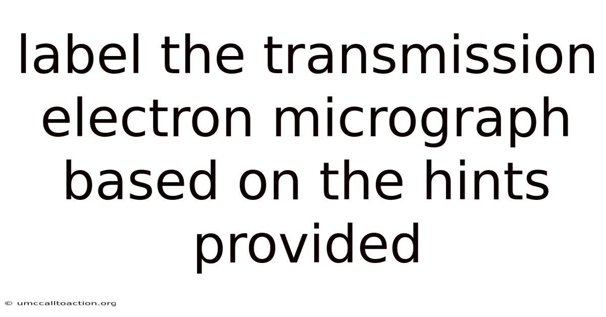 Label The Transmission Electron Micrograph Based On The Hints Provided