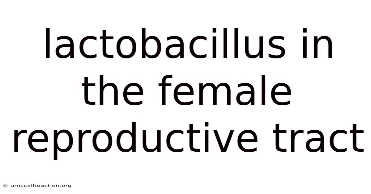 Lactobacillus In The Female Reproductive Tract