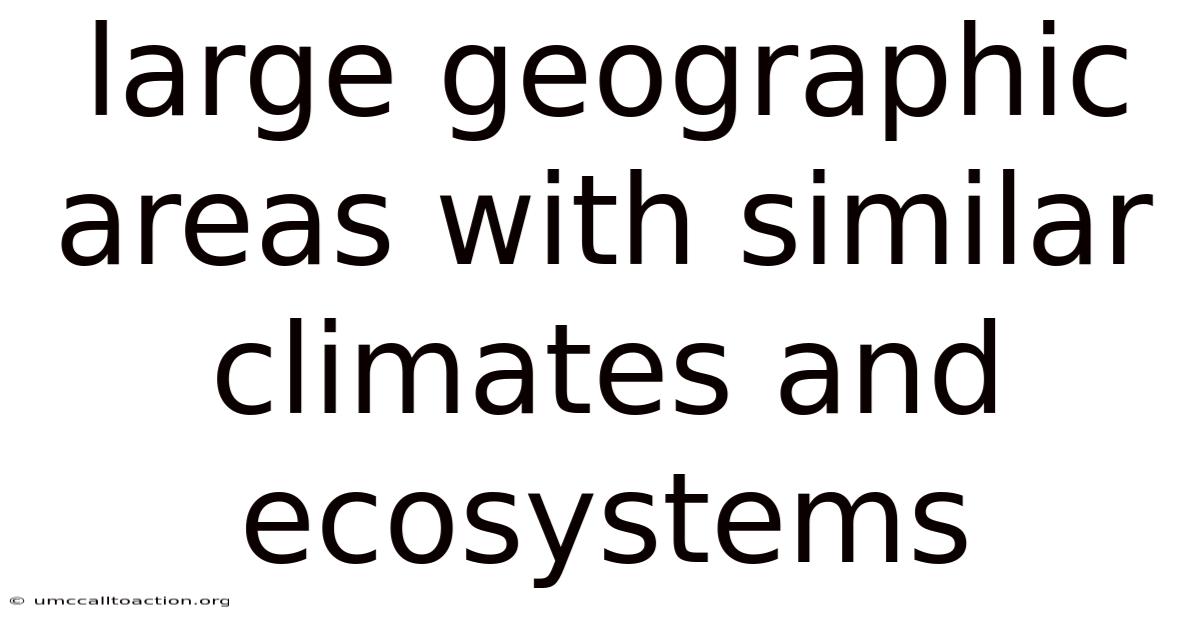 Large Geographic Areas With Similar Climates And Ecosystems