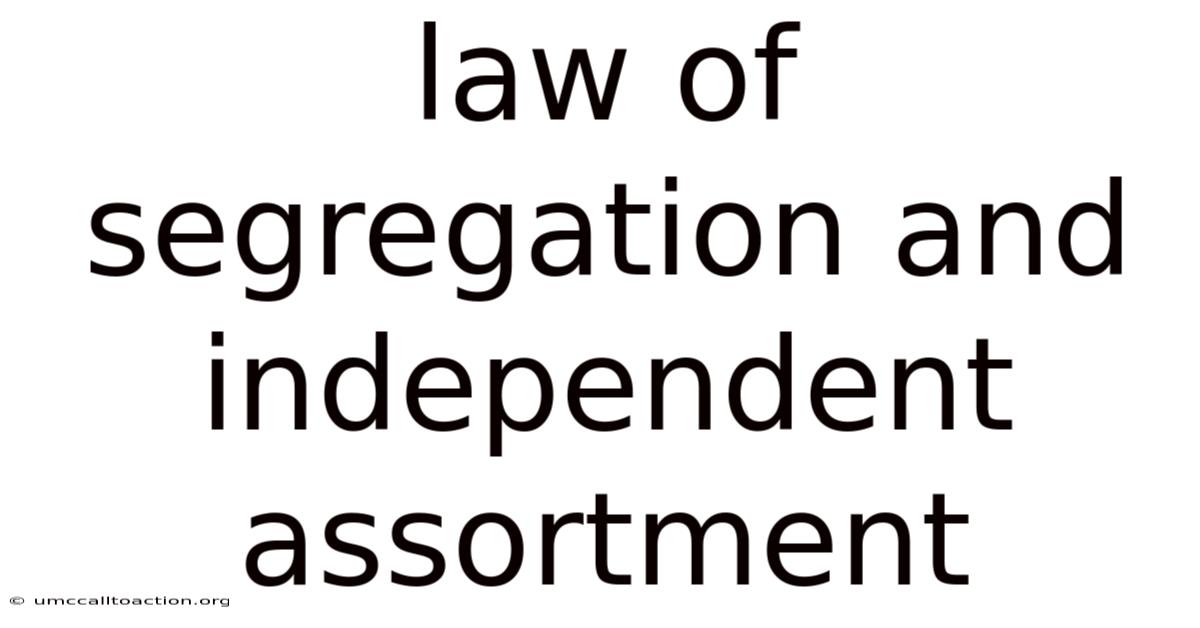 Law Of Segregation And Independent Assortment