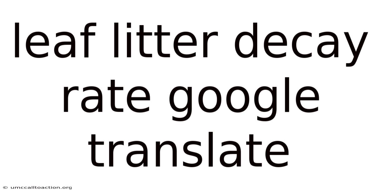 Leaf Litter Decay Rate Google Translate