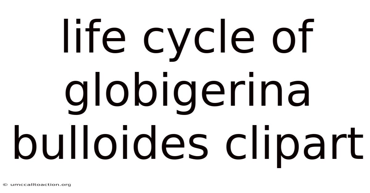 Life Cycle Of Globigerina Bulloides Clipart