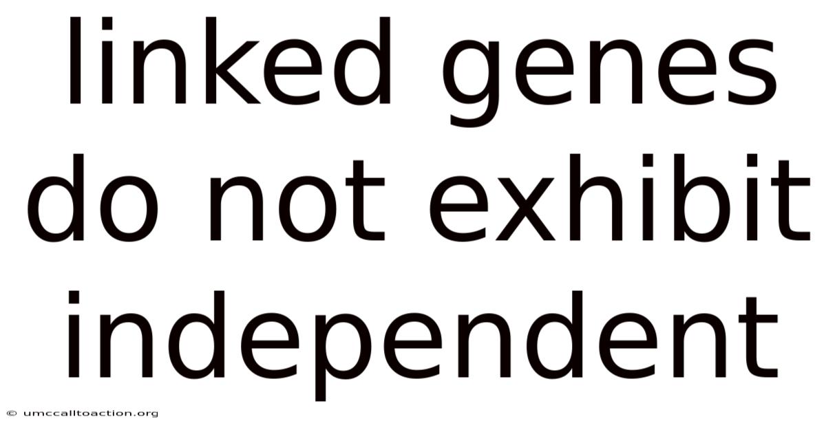 Linked Genes Do Not Exhibit Independent