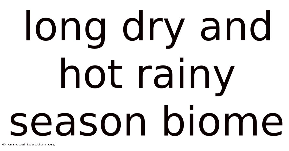 Long Dry And Hot Rainy Season Biome