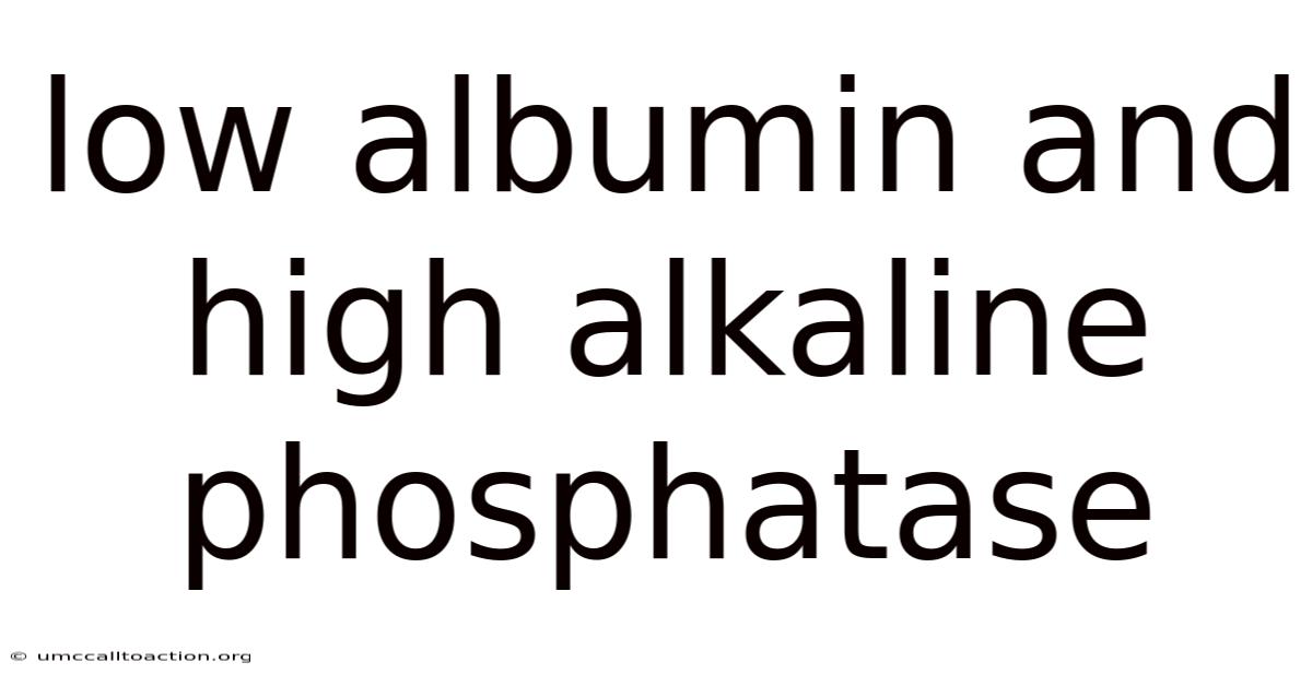 Low Albumin And High Alkaline Phosphatase