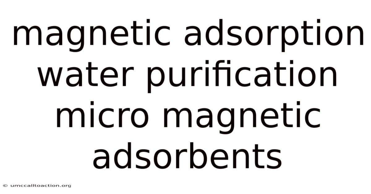 Magnetic Adsorption Water Purification Micro Magnetic Adsorbents