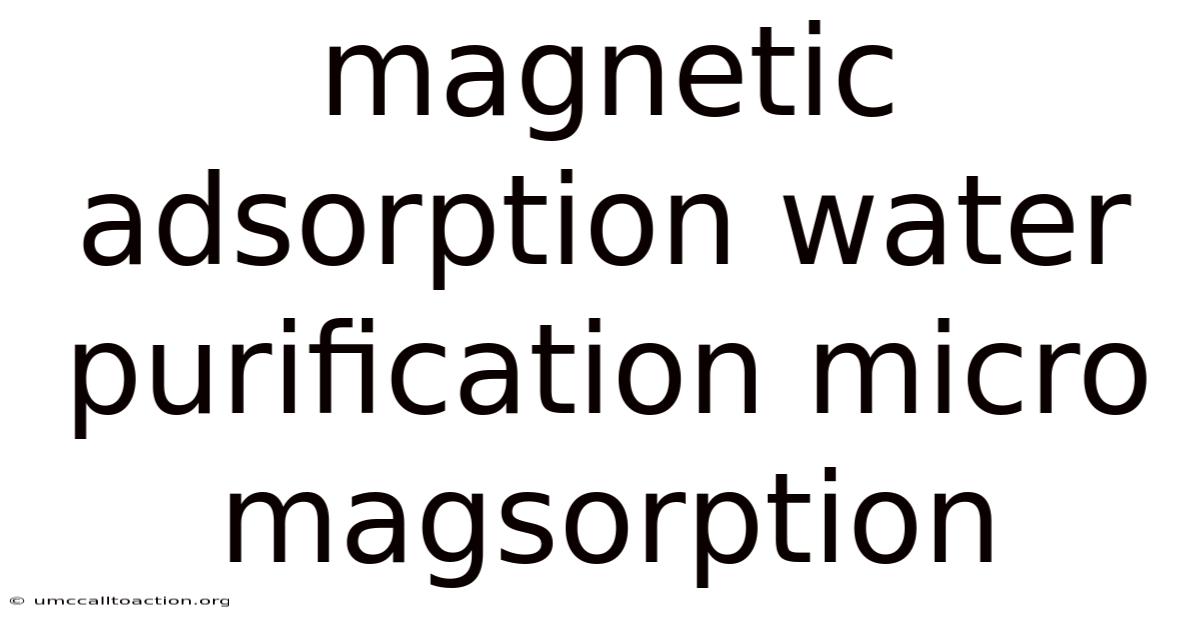 Magnetic Adsorption Water Purification Micro Magsorption