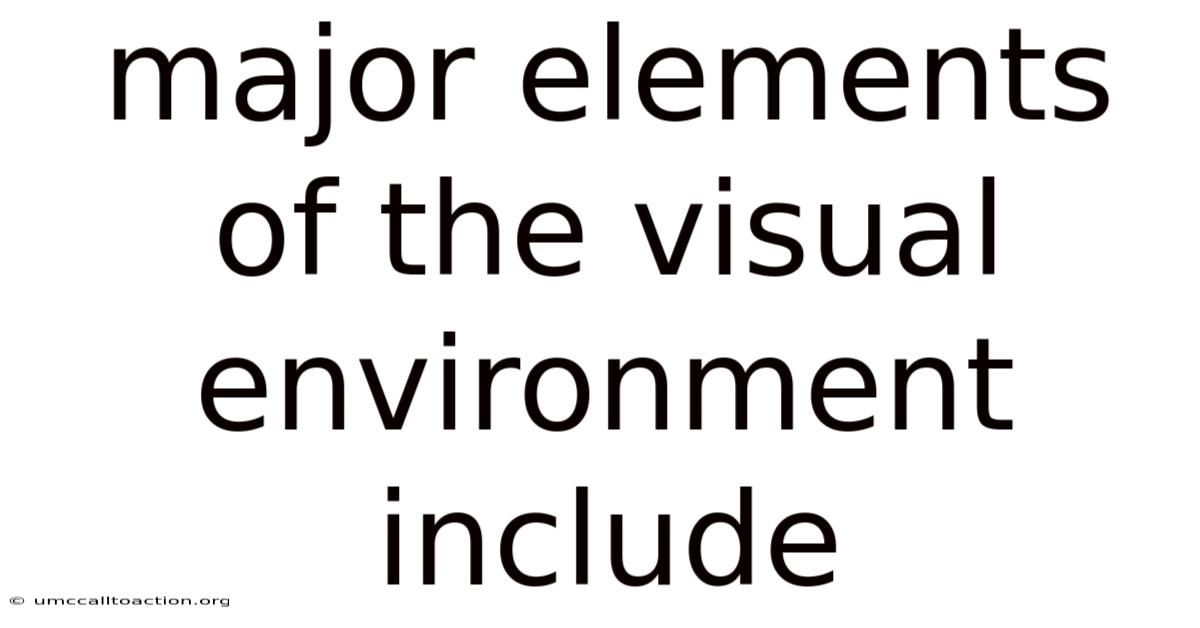 Major Elements Of The Visual Environment Include